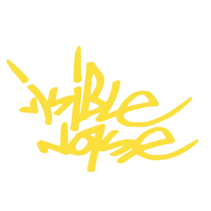 Visible Noise logo