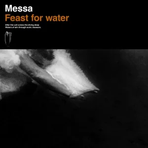 Feast for Water album cover