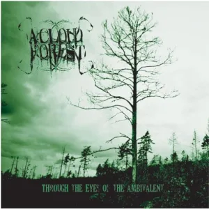 Through the Eyes of the Ambivalent album cover