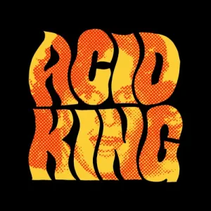 Acid King album cover