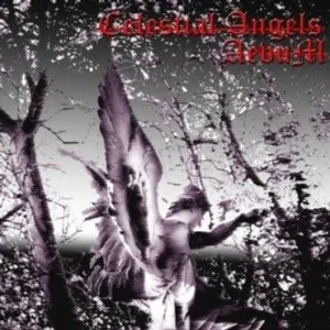 Celestial Angels album cover