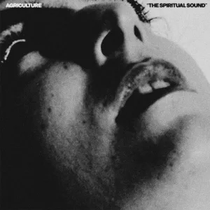 The Spiritual Sound album cover