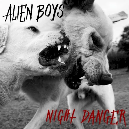 Night Danger background