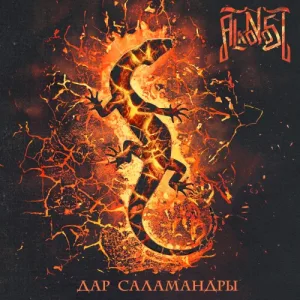 Дар саламандры album cover