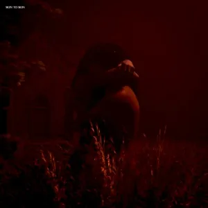 Skin to Skin album cover