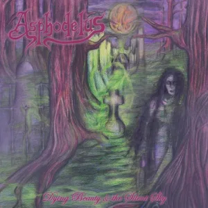 Dying Beauty & the Silent Sky album cover