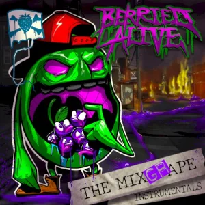 The Mixgrape album cover
