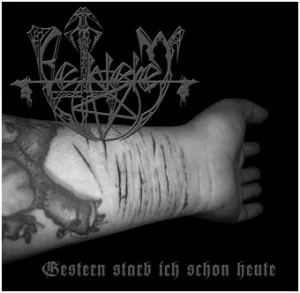 Gestern starb ich schon heute / Have a Nice Fight album cover