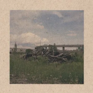 Feral Verdure album cover