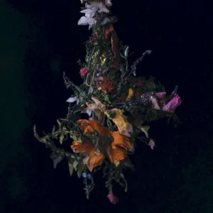 nature morte album cover