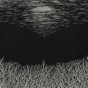The Slow Dying of the Great Barrier Reef album cover