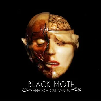 Anatomical Venus background