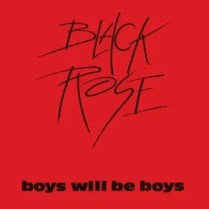 Boys Will Be Boys album cover