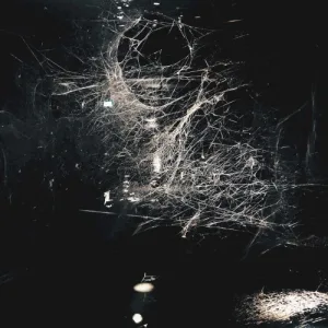 An Exit Exists album cover