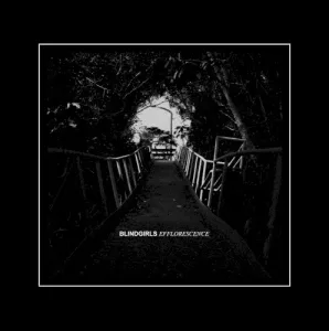 Efflorescence album cover