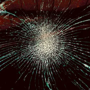 The Weight of Everything album cover