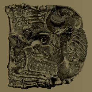 Dear album cover