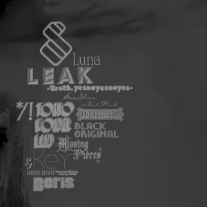New Album 2009 album cover