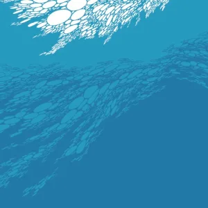 flood album cover