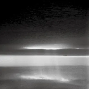 unknown flowers album cover