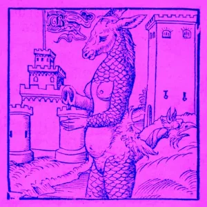 Donkey album cover