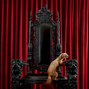 Marten album cover
