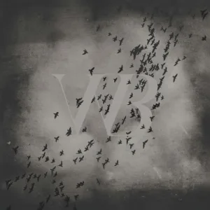 Split MMXIX album cover
