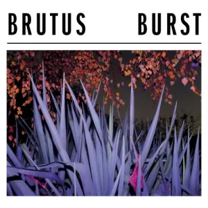 Burst album cover