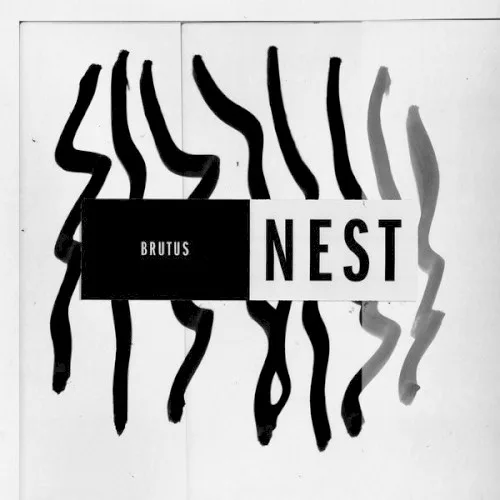 Nest background