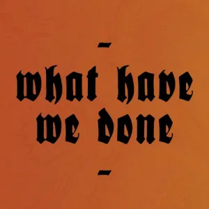 What Have We Done album cover