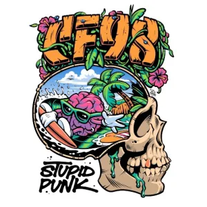 STUPID PUNK album cover