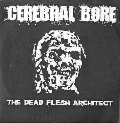 The Dead Flesh Architect background