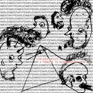 A Tribute to Rudimentary Peni album cover