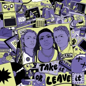 Take It or Leave It album cover