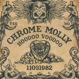 Hoodoo Voodoo album cover