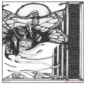 Clipped Beaks / Silk Panic album cover