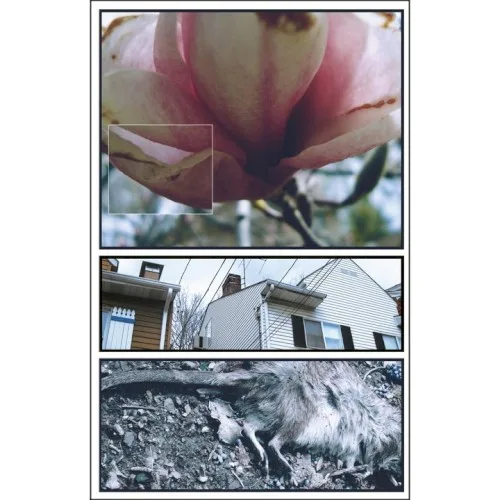 Embrace Me // Erase Me background