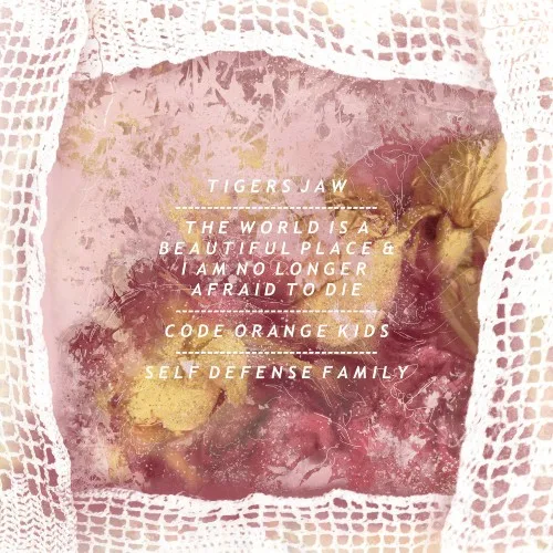Tigers Jaw / The World Is a Beautiful Place & I Am No Longer Afraid to Die / Code Orange Kids / Self Defense Family background