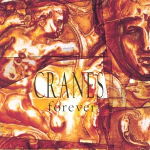 Forever album cover
