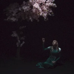 As the Light Left album cover
