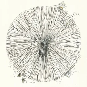 Trøst album cover