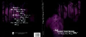 In Darkness Comes Beauty album cover