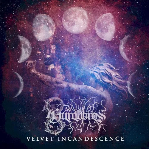 Velvet Incandescence background