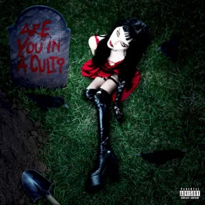 Are You In A Cult? album cover