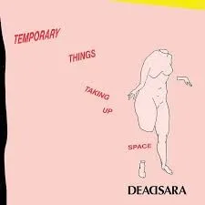 Temporary Things Taking Up Space album cover