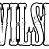 Devilskin