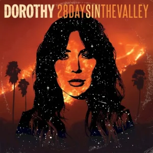 28 Days in the Valley album cover