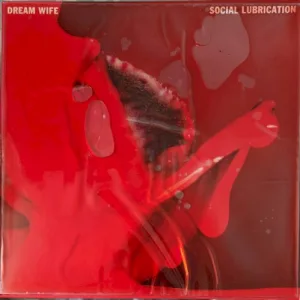 Social Lubrication album cover