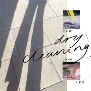 New Long Leg album cover
