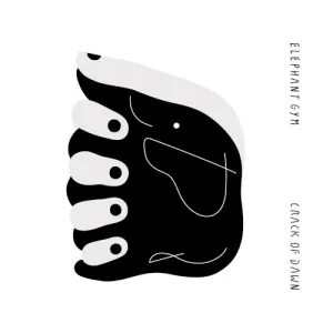 CRACK OF DAWN album cover